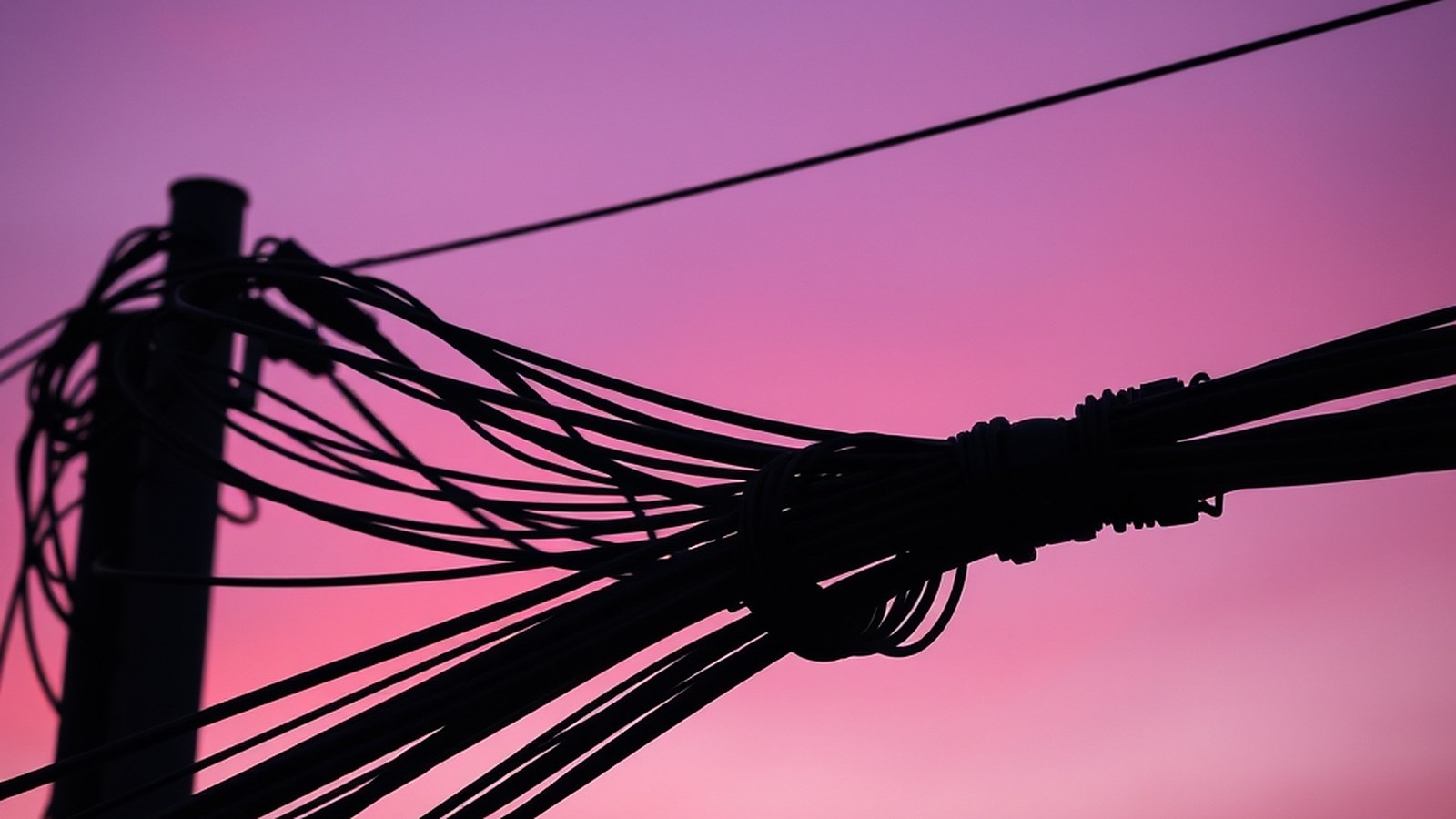 Illustration of black cables bundled along a utility pole against a pink and orange dusk sky