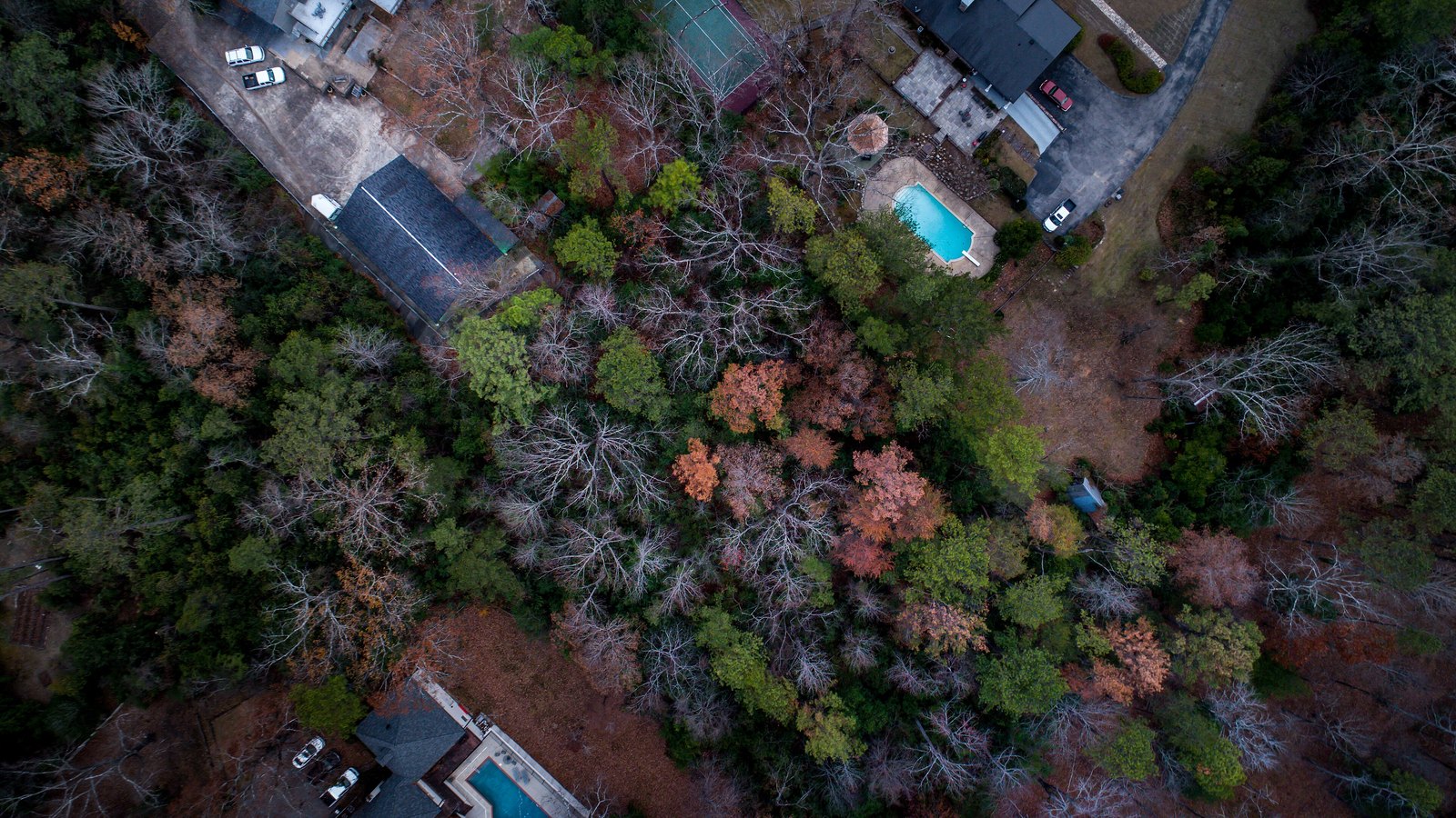 Aerial view of suburban houses among trees