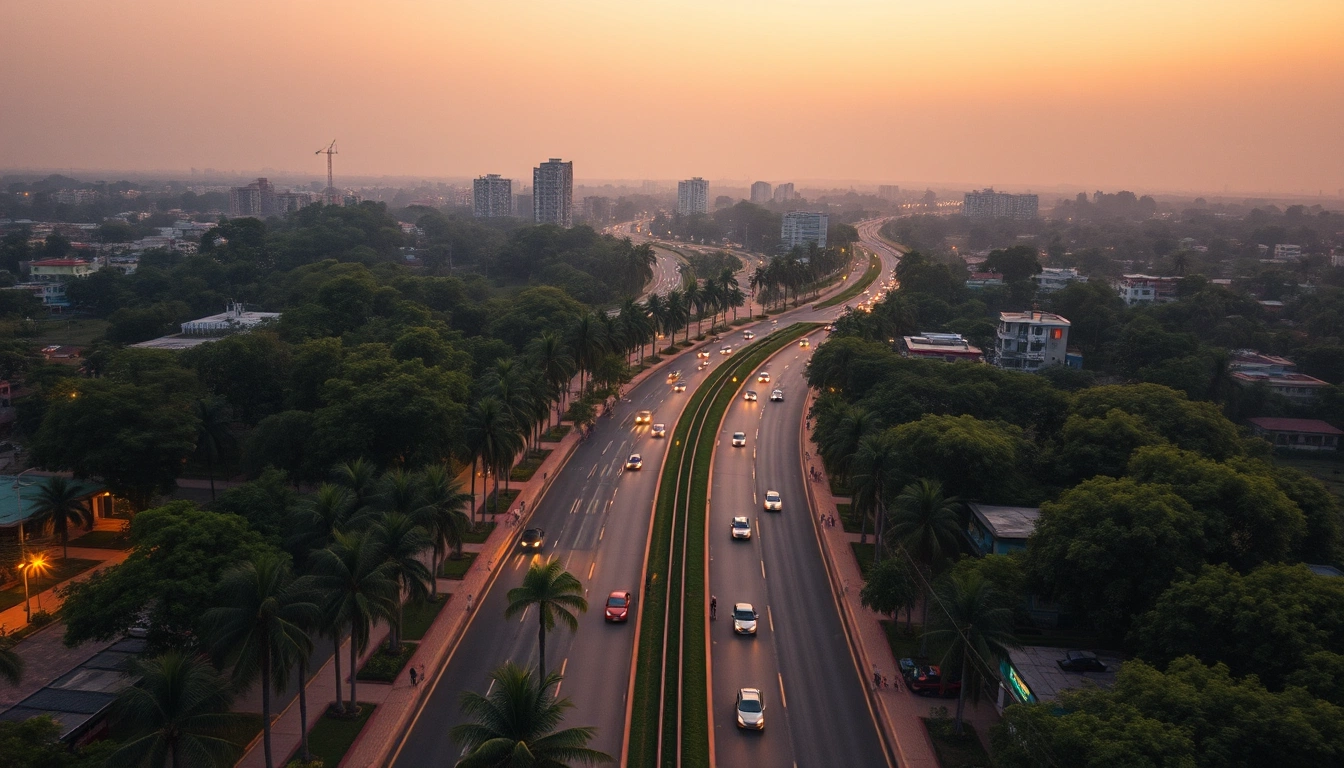 Illustration of an aerial view of a palm-lined avenue in a South Indian city at dusk