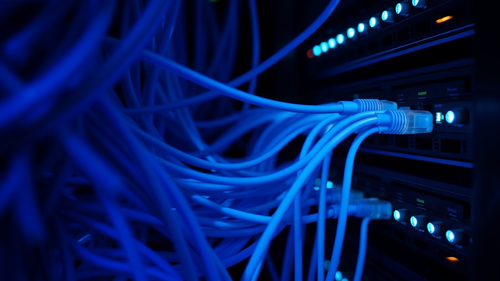 Illustration of blue network cables plugged into a data center rack